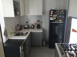 The Riverine By The Park (D12), Apartment #137773582